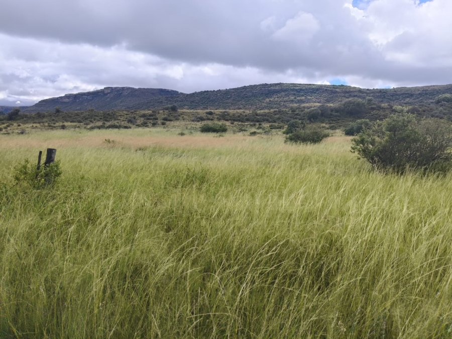 0 Bedroom Property for Sale in Jamestown Eastern Cape